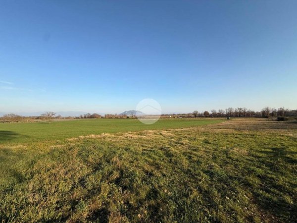 terreno agricolo in vendita a Castel Sant'Elia