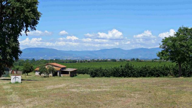 azienda agricola in vendita a Castel Sant'Elia
