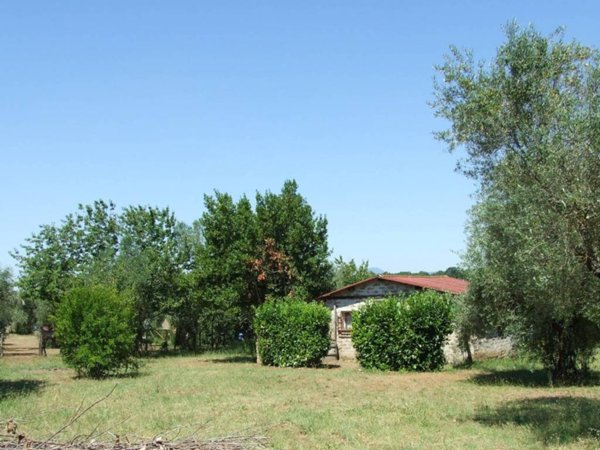 terreno agricolo in vendita a Castel Sant'Elia