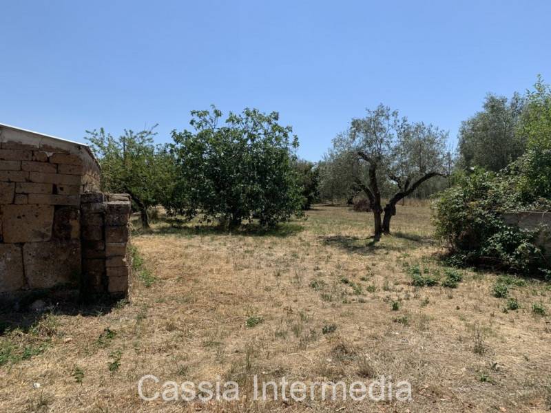 terreno edificabile in vendita a Castel Sant'Elia