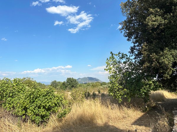 casa indipendente in vendita a Castel Sant'Elia