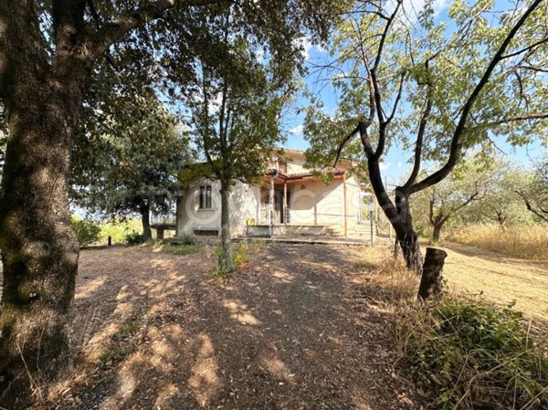 casa indipendente in vendita a Castel Sant'Elia