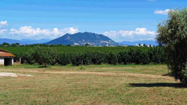 azienda agricola in vendita a Castel Sant'Elia