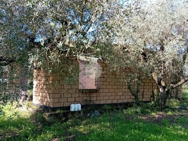 casa indipendente in vendita a Castel Sant'Elia