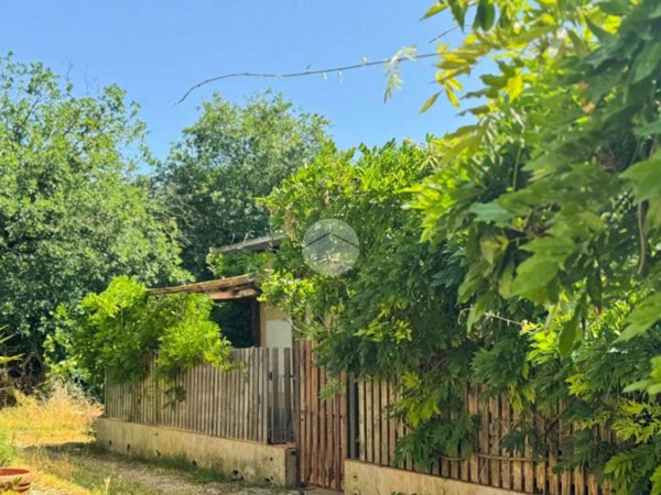 appartamento in vendita a Castel Sant'Elia