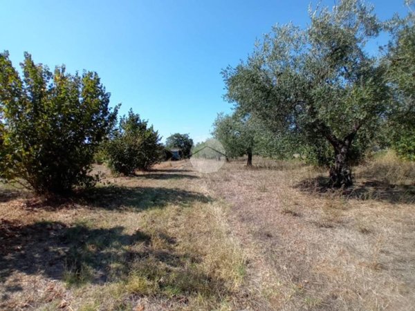 terreno agricolo in vendita a Castel Sant'Elia