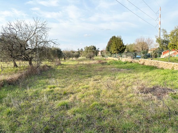 terreno agricolo in vendita a Castel Sant'Elia