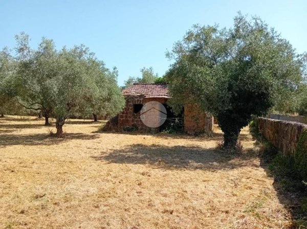 appartamento in vendita a Castel Sant'Elia