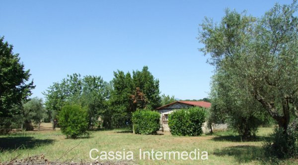 terreno agricolo in vendita a Castel Sant'Elia