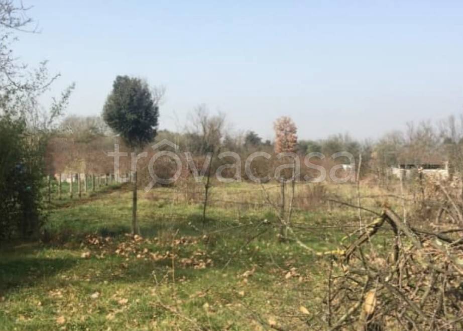 terreno agricolo in vendita a Castel Sant'Elia