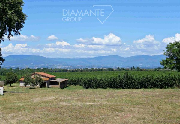 azienda agricola in vendita a Castel Sant'Elia