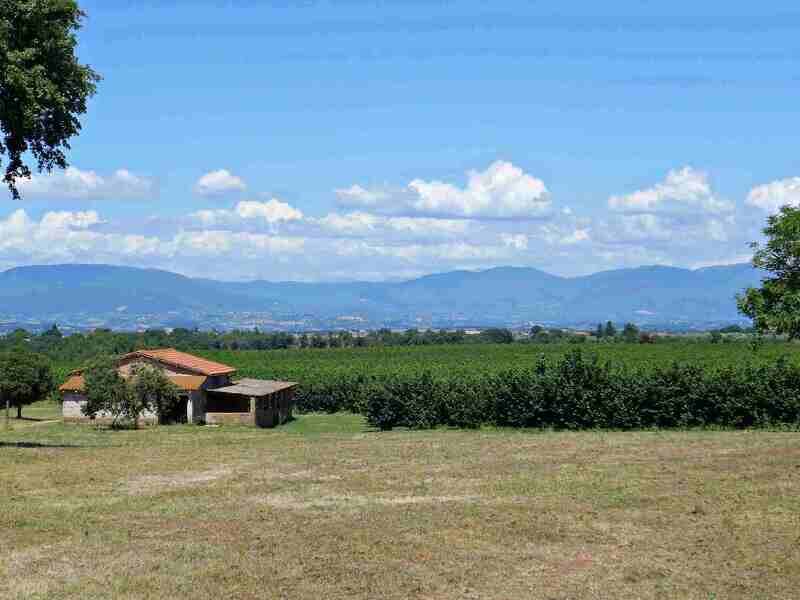 azienda agricola in vendita a Castel Sant'Elia