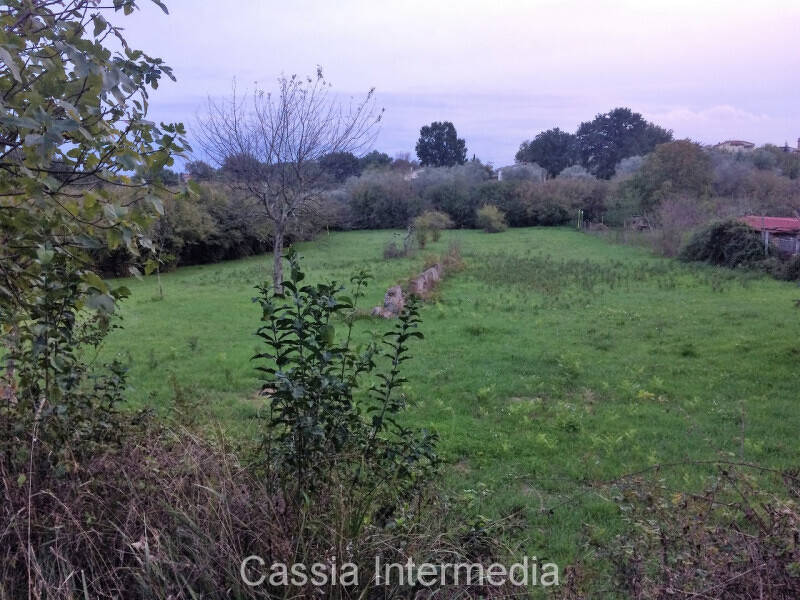 terreno agricolo in vendita a Castel Sant'Elia