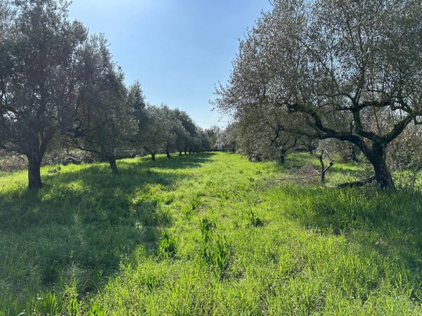 terreno in vendita a Castel Sant'Elia