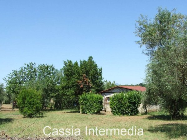 terreno agricolo in vendita a Castel Sant'Elia