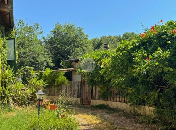 appartamento in vendita a Castel Sant'Elia