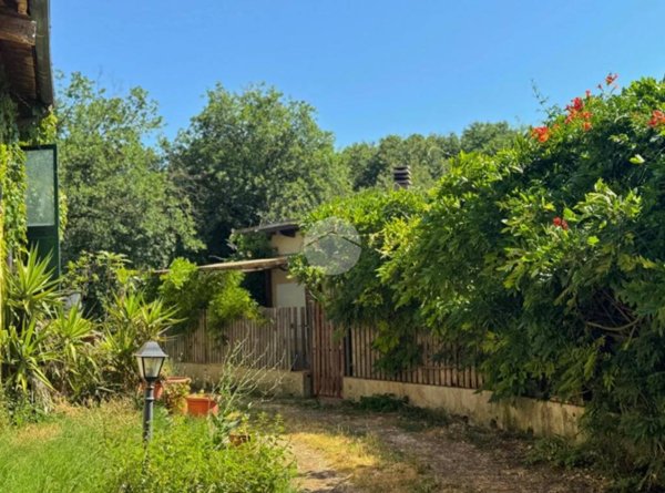 appartamento in vendita a Castel Sant'Elia