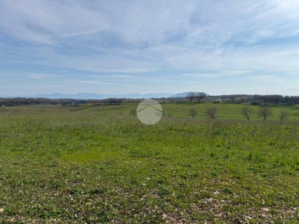 terreno agricolo in vendita a Castel Sant'Elia