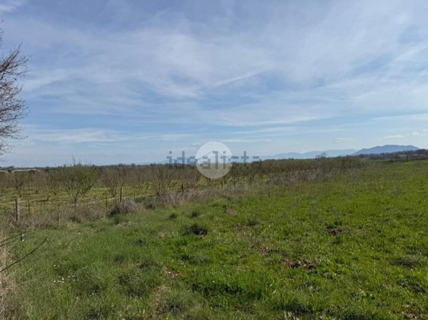 terreno agricolo in vendita a Castel Sant'Elia