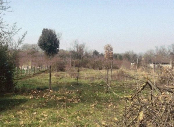 terreno agricolo in vendita a Castel Sant'Elia