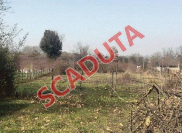terreno agricolo in vendita a Castel Sant'Elia