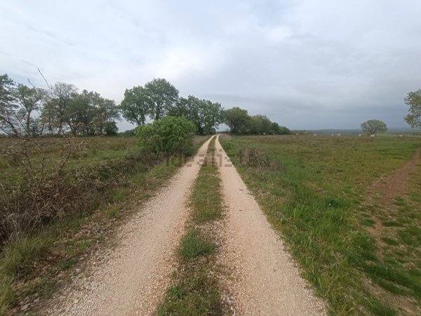 azienda agricola in vendita a Castel Sant'Elia