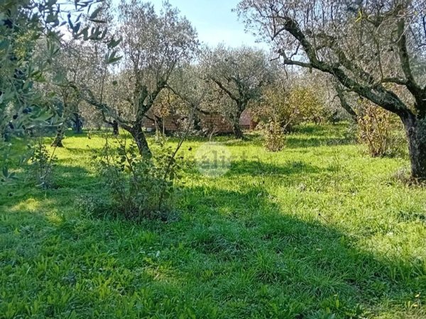 casale in vendita a Castel Sant'Elia