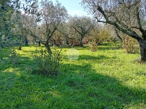 casa indipendente in vendita a Castel Sant'Elia