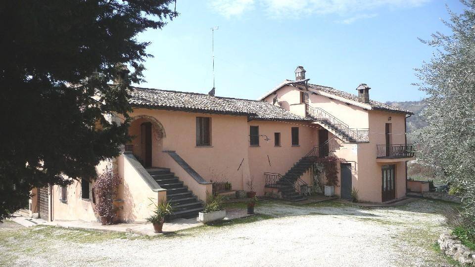 azienda agricola in vendita a Castiglione in Teverina
