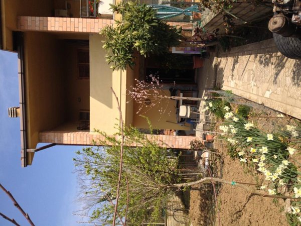 casa indipendente in vendita a Castiglione in Teverina in zona Vaiano