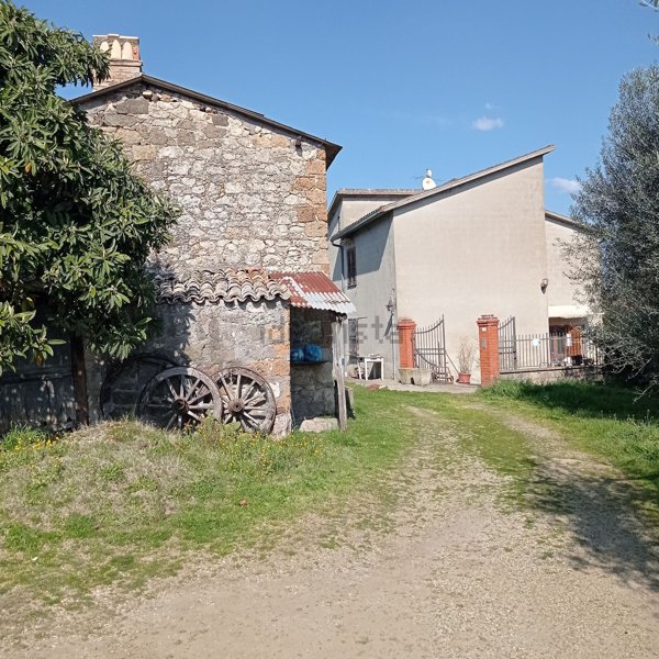 appartamento in vendita a Castiglione in Teverina