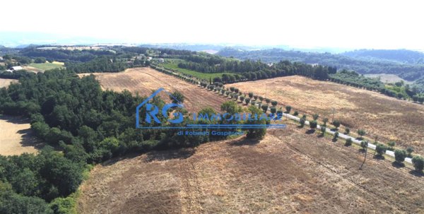 terreno agricolo in vendita a Castiglione in Teverina in zona Sermugnano