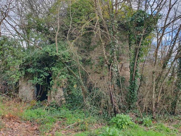 terreno agricolo in vendita a Castiglione in Teverina