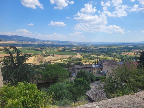 appartamento in vendita a Castiglione in Teverina