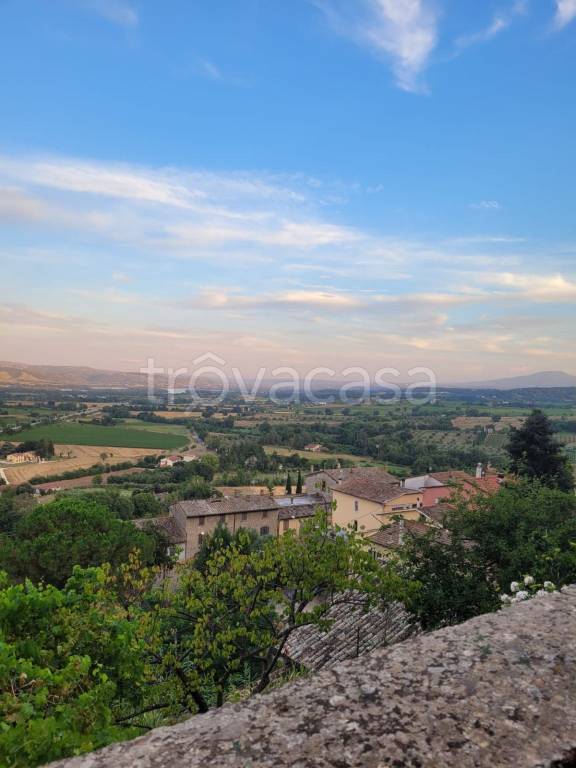 appartamento in vendita a Castiglione in Teverina