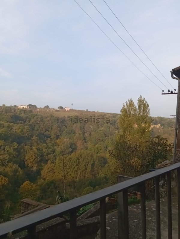 appartamento in vendita a Castiglione in Teverina