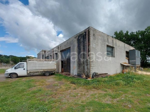 locale commerciale in vendita a Castiglione in Teverina