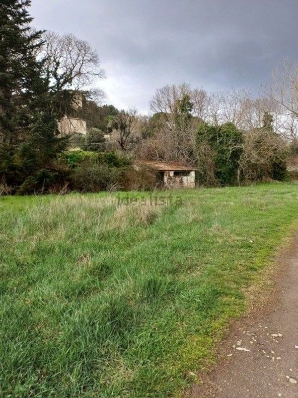 casa indipendente in vendita a Castiglione in Teverina