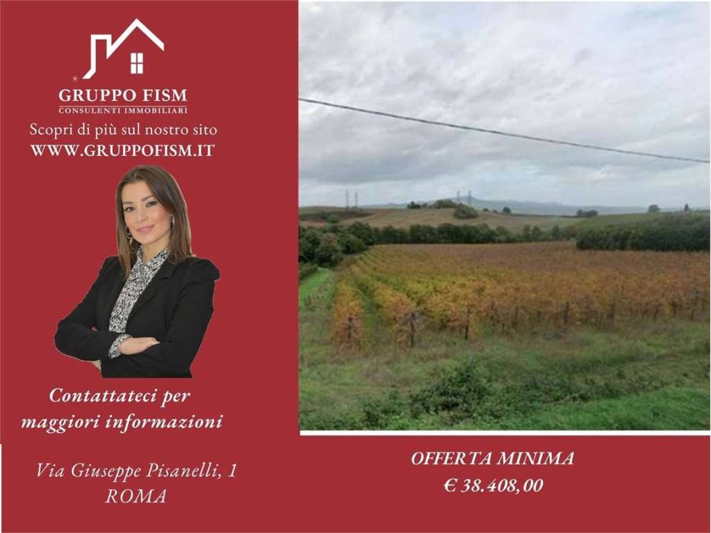 terreno agricolo in vendita a Castiglione in Teverina