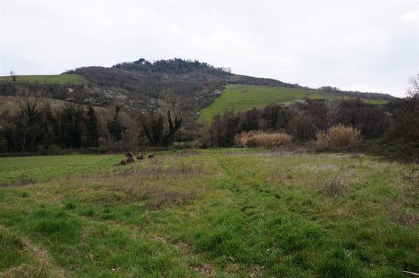 terreno agricolo in vendita a Castiglione in Teverina