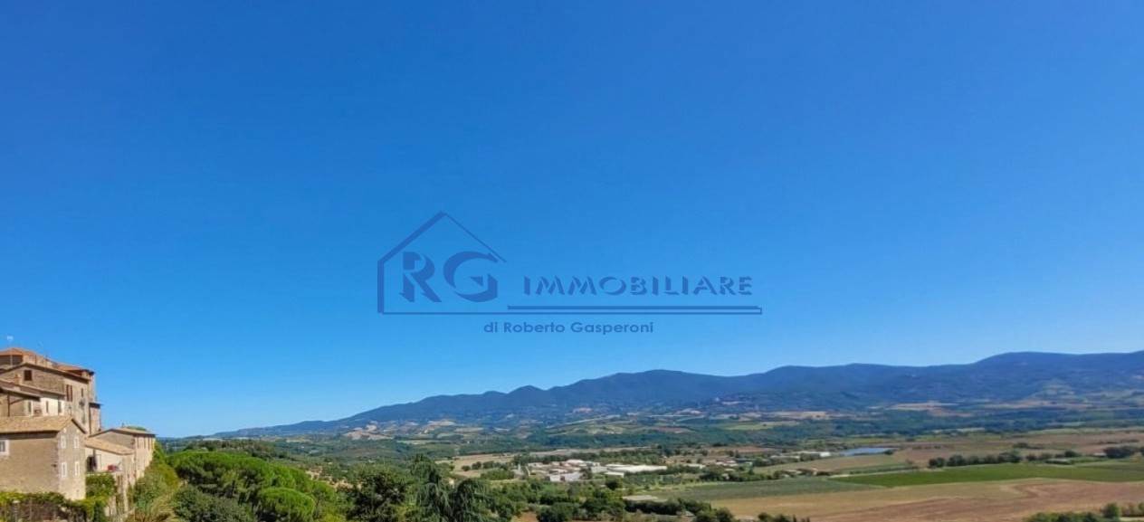 appartamento in vendita a Castiglione in Teverina