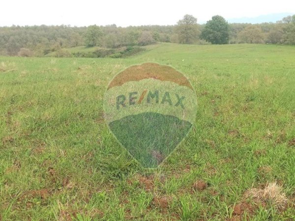 terreno agricolo in vendita a Celleno