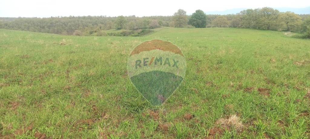 terreno agricolo in vendita a Celleno