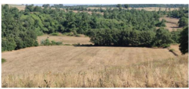 terreno agricolo in vendita a Celleno