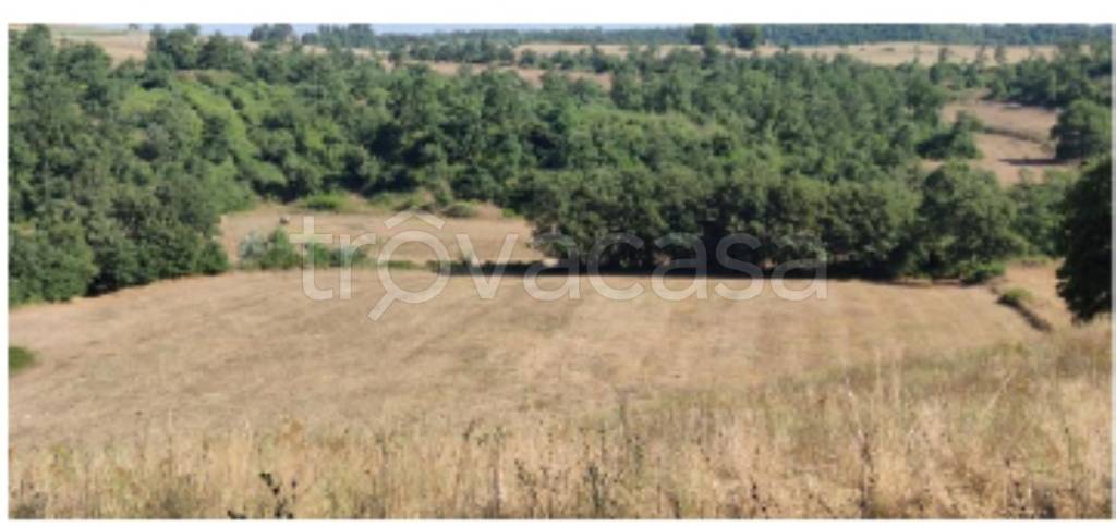 terreno agricolo in vendita a Celleno