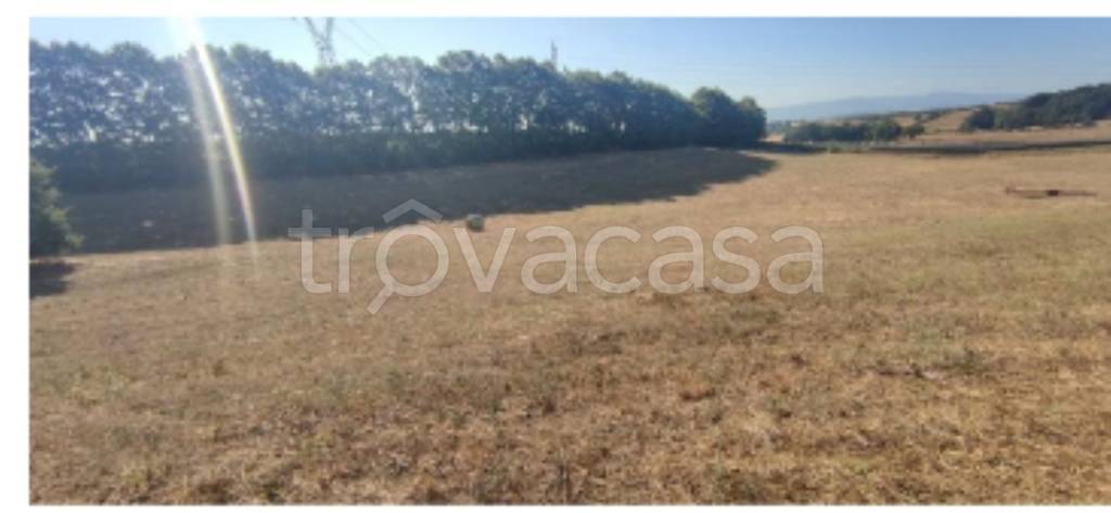terreno agricolo in vendita a Celleno