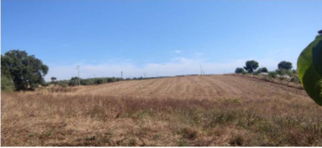 terreno agricolo in vendita a Celleno