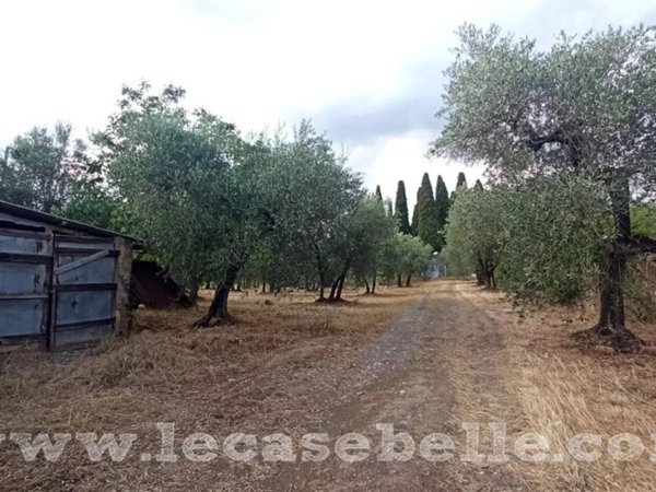 casa indipendente in vendita a Celleno