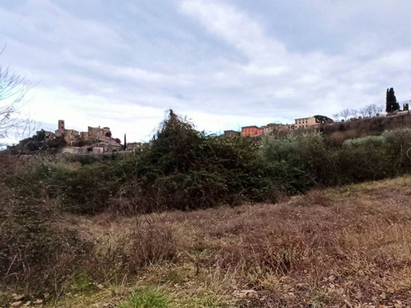 terreno agricolo in vendita a Celleno
