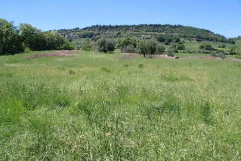 casa indipendente in vendita a Celleno